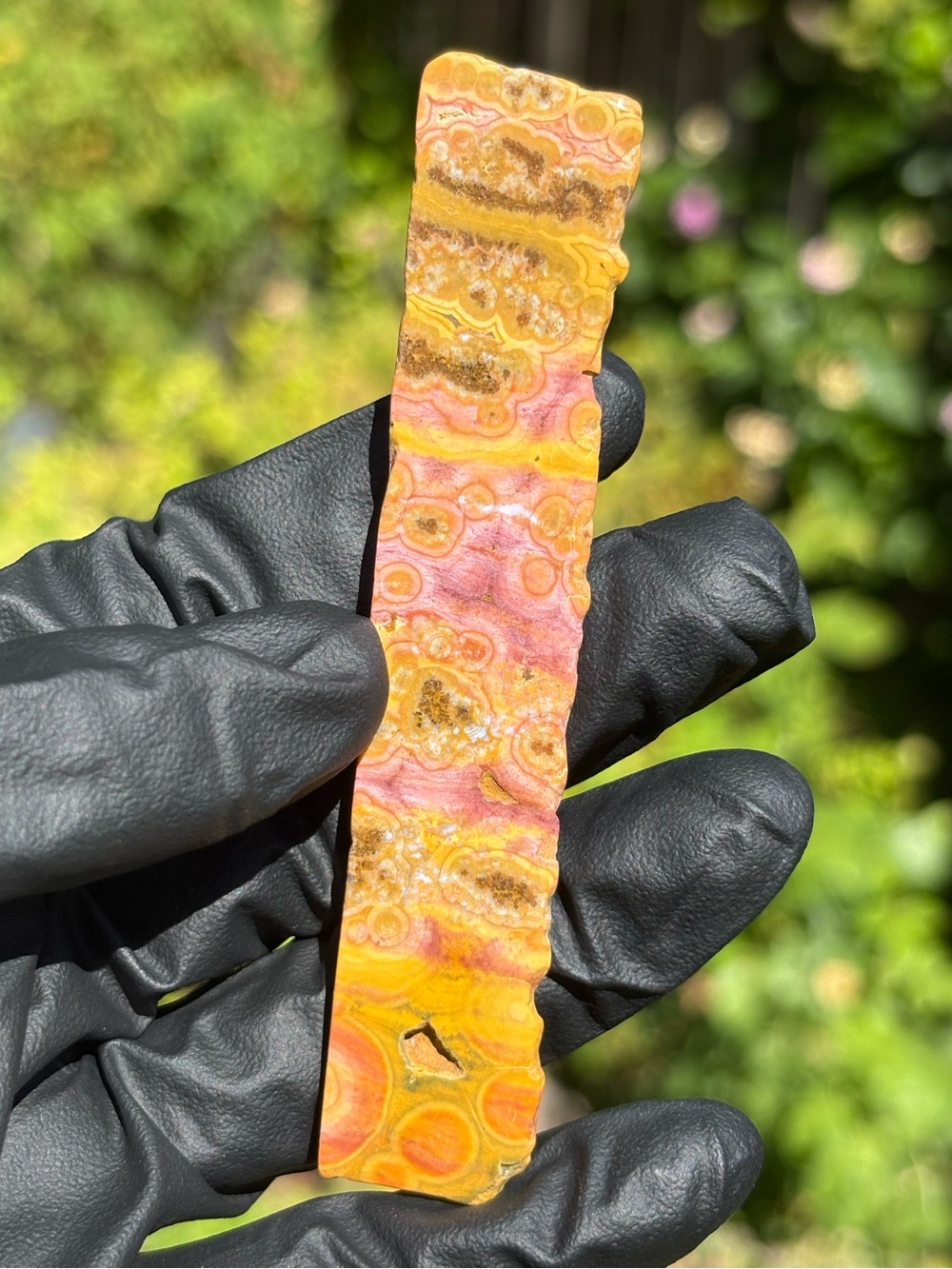 Ocean Jasper Crystal Slab - Polished Sea Jasper - Orbicular Jasper